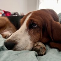 iPhone 13 Pro primjeri fotografija