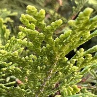 iPhone 13 Pro primjeri fotografija