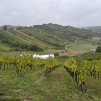 Milanović na diplomatskoj berbi