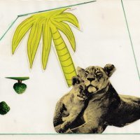 Kolaž Sanje Iveković iz knjige 'A PUNCH IN THE EYE'