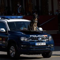 Mimohod u Španjolskoj