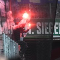 Navijači Dinama na utakmici u Beču