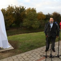 U Novoj Gradiški svečano otkriven spomenik Toši Proeskom