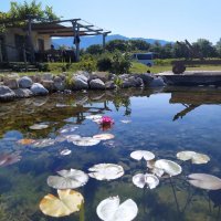 Vineyard Eco Cottage