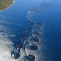 Cromaris - uzgajalište Košara