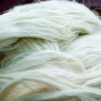 Pinatex - koža od lista ananasa