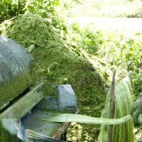 Pinatex - koža od lista ananasa