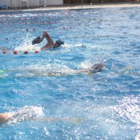 Plivanje 2 - Hrvatski plivački savez