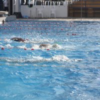 Plivanje 2 - Hrvatski plivački savez