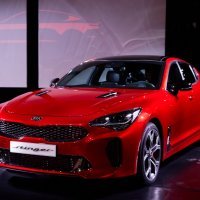 Kia Stinger KG6A2208 (Medium)