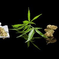 Marihuana