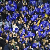 Dinamo - Rapid, navijači na utakmici