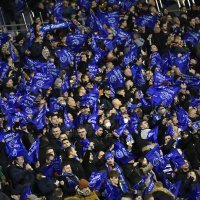 Dinamo - Rapid, navijači na utakmici