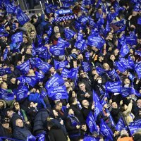 Dinamo - Rapid, navijači na utakmici