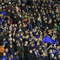 Dinamo - Rapid, navijači na utakmici