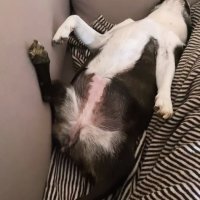 Tatjana Jurić Instagram