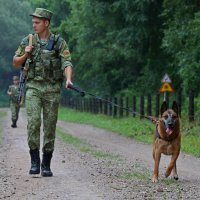 Migranti pokušavaju probiti kordon na granici Poljske i Bjelorusije