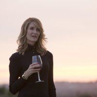 Premijera nove HBO serije Male lazi (2)