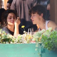 Camila Cabello, Shawn Mendes
