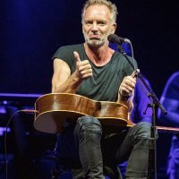 Sting