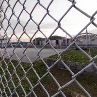 Honor 50 primjeri fotografija