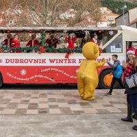 Dubrovački zimski festival