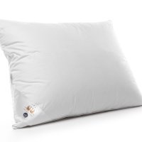 Family, jastuk Dream perje 60x80, 599,90kn -60� 239,96kn