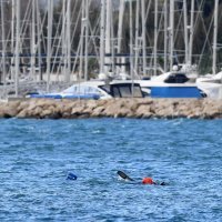 Izvlačenje kamiona iz mora