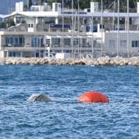 Izvlačenje kamiona iz mora