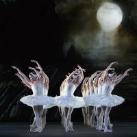 Artists of The Royal Ballet in Swan Lake, The Royal Ballet C 2018 ROH