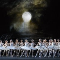 Artists of The Royal Ballet in Swan Lake, The Royal Ballet c 2018