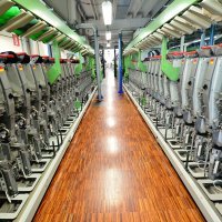 Pogoni za preradu rijetkih materijala Loro Piana