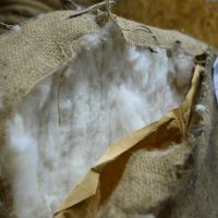 Pogoni za preradu rijetkih materijala Loro Piana