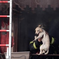 Požar na Ferenščici