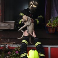 Požar na Ferenščici