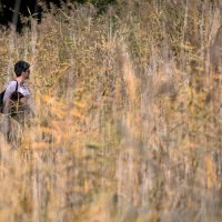 Park prirode Lobau u Austriji