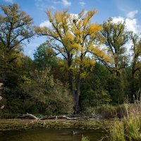 Park prirode Lobau u Austriji