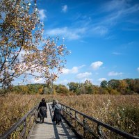 Park prirode Lobau u Austriji