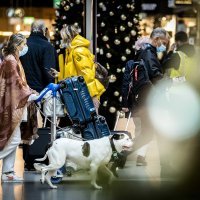Red na testiranje na Omikron na aerodromu u Amsterdamu