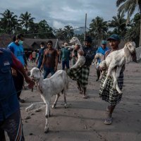 Erupcija vulkana Semeru