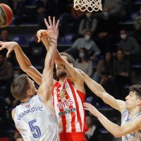 KK Crvena zvezda - KK Cibona