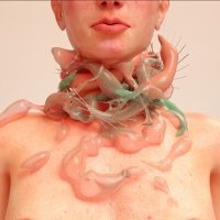 Margarita Raeva_(introduction to the field of) shapable matter