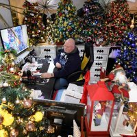 Božićne jelke u stanu