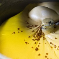 Kroštulin Panettone