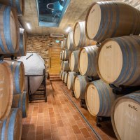 Tomislav Tolušić u vlastitoj vinariji