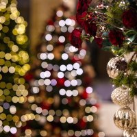 Vitality Hotel Punta