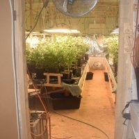 Zapljena droge u Velikoj Gorici