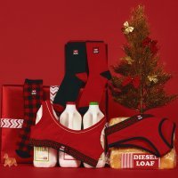 HOLIDAY CAMPAIGN 2021