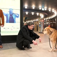 Braća Navojec i pas