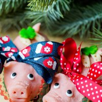 Orijent Christmas cookies